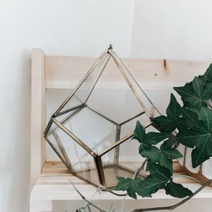 Prism Plant Holder